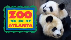 Zoo Atlanta Pandas
